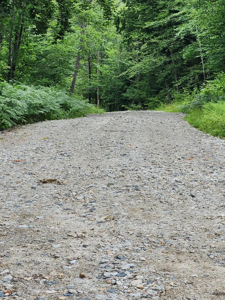 Lot C Fern Drive Buckfield ME 04220