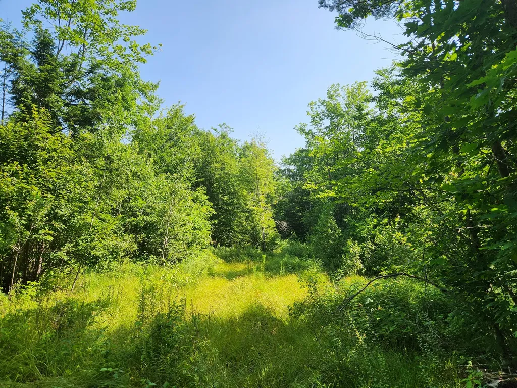 Lot C Fern Drive Buckfield ME 04220