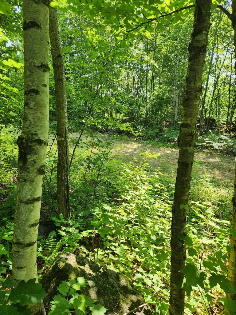 Lot C Fern Drive Buckfield ME 04220