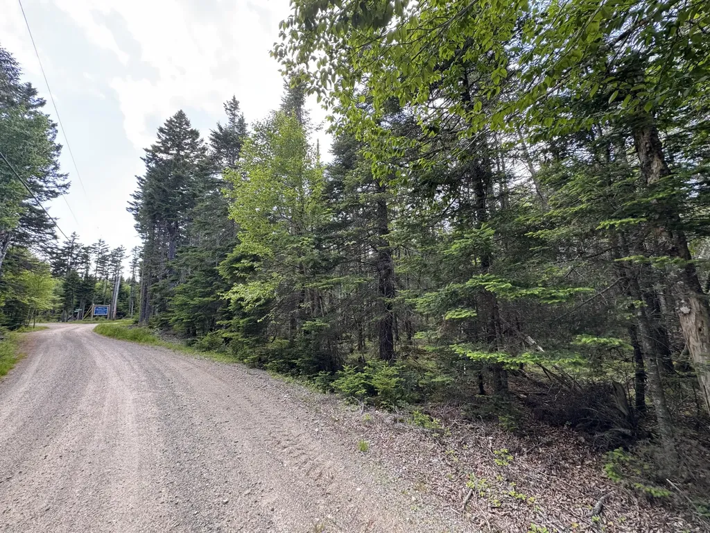 #06-05-0A Nepp Point Road Roque Bluffs ME 04654