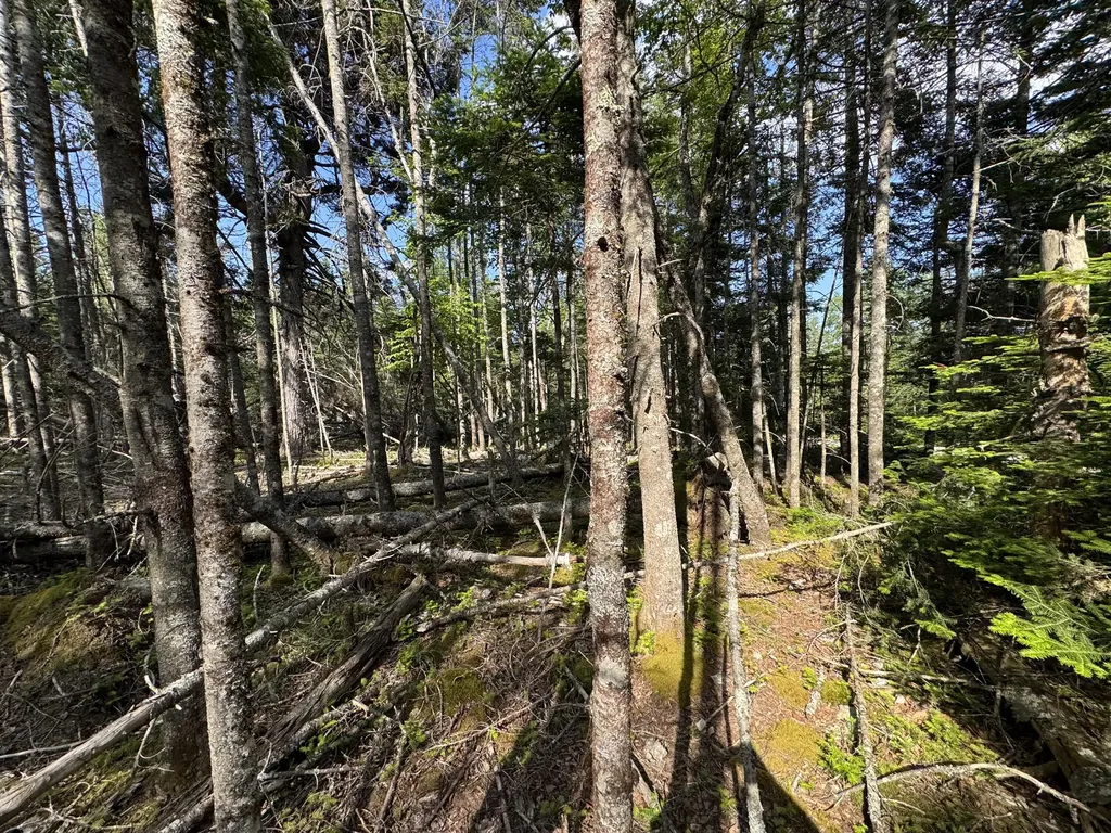 #06-05-0A Nepp Point Road Roque Bluffs ME 04654