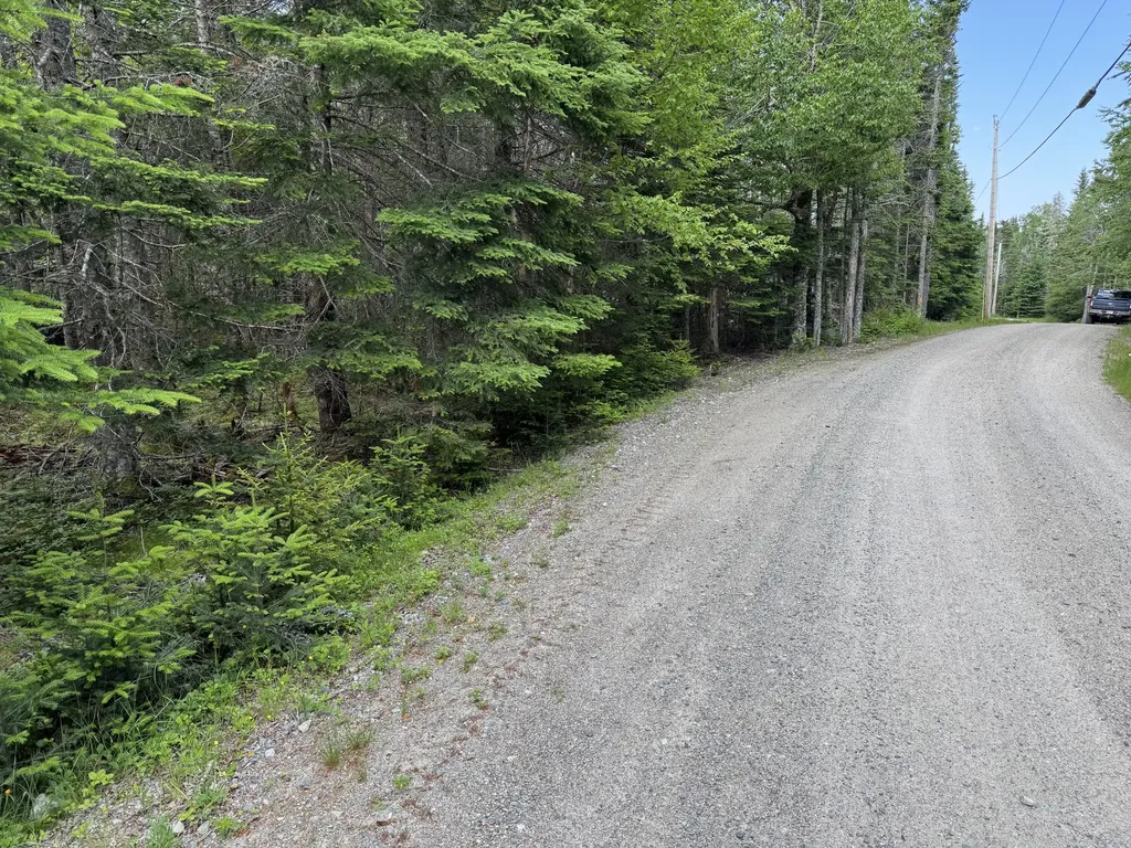 #06-05-0A Nepp Point Road Roque Bluffs ME 04654