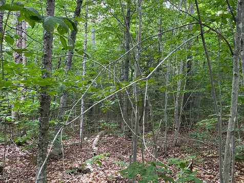 Lot 29 Scammon Road Greenville ME 04441