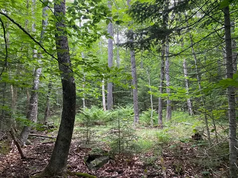 Lot 29 Scammon Road Greenville ME 04441