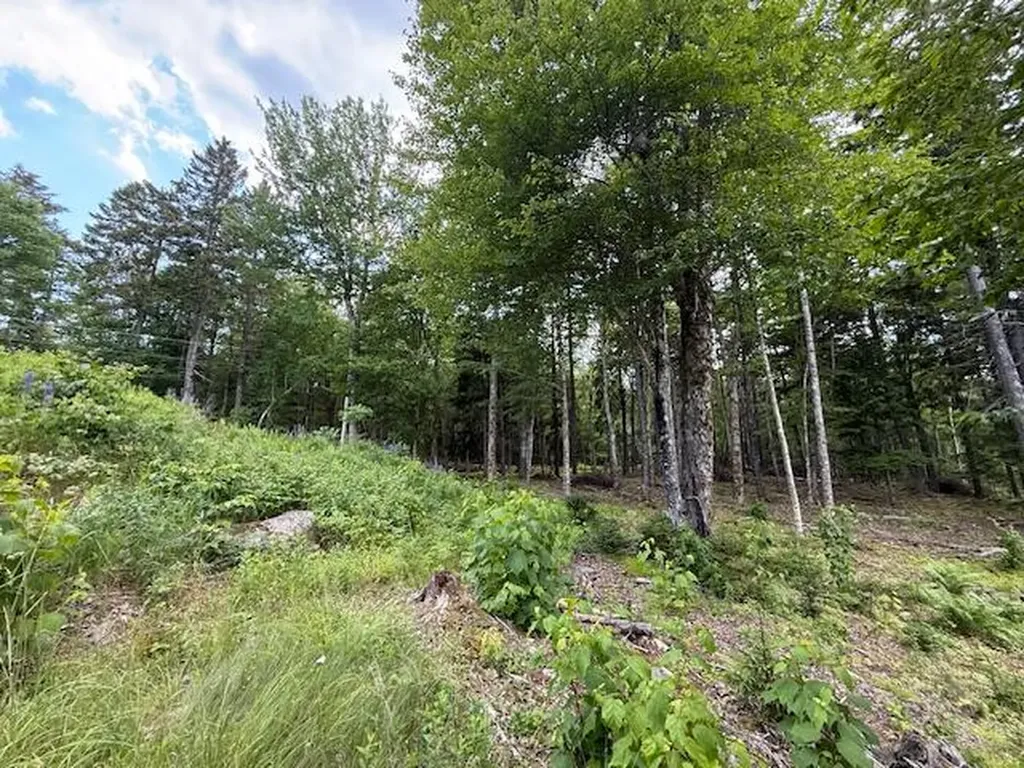 96 Indian Trail Road East Machias ME 04630