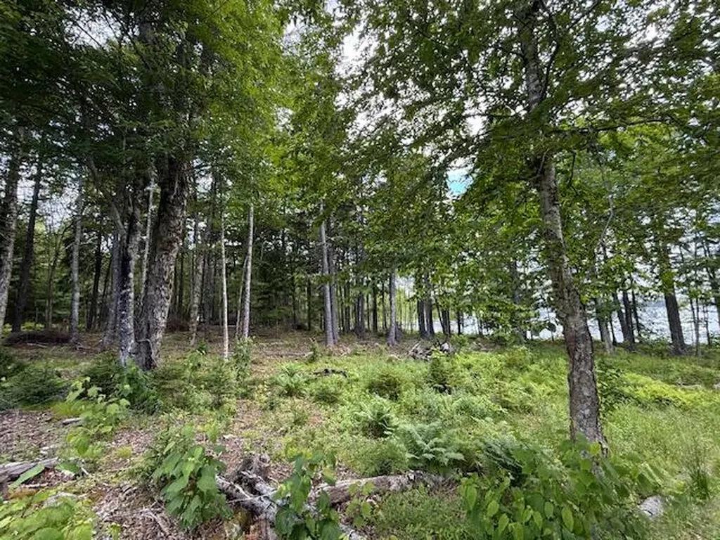 96 Indian Trail Road East Machias ME 04630