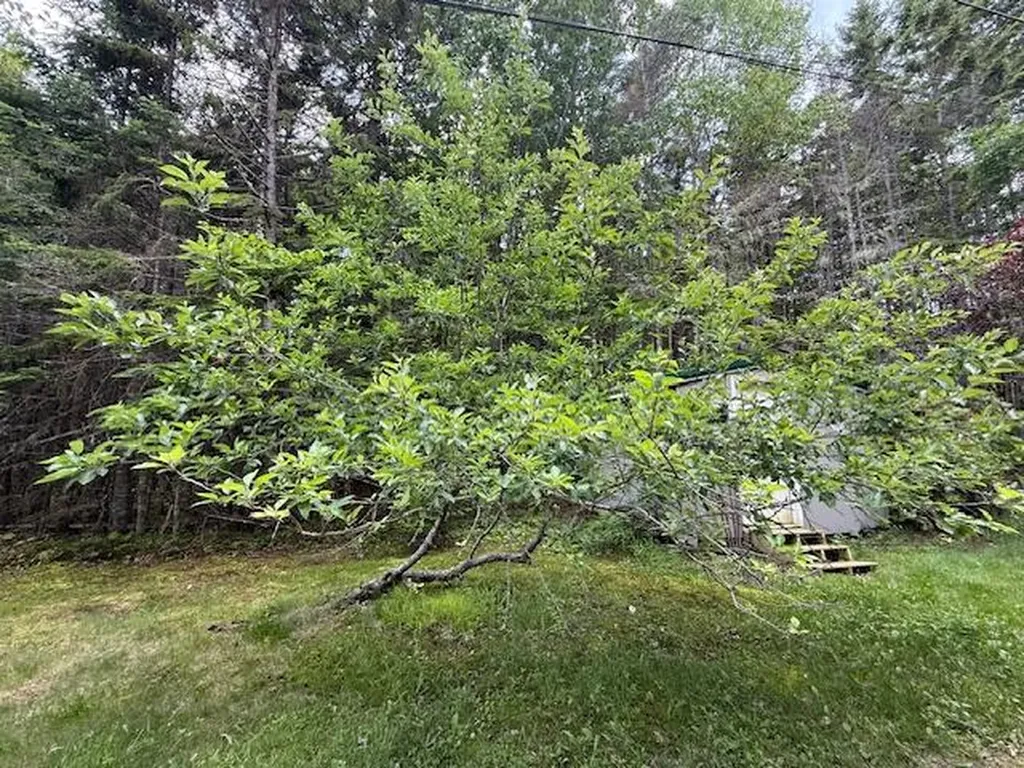96 Indian Trail Road East Machias ME 04630