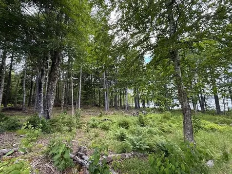 96 Indian Trail Road East Machias ME 04630