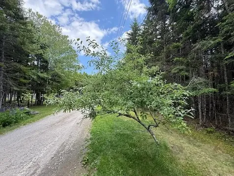 96 Indian Trail Road East Machias ME 04630