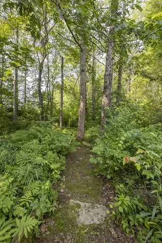 14 Bailey Lane Brunswick ME 04011