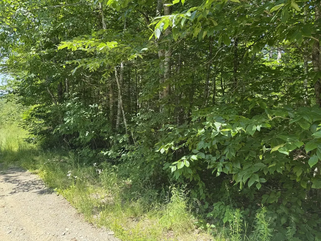 #002-006 Hilltop Lane Princeton ME 04668
