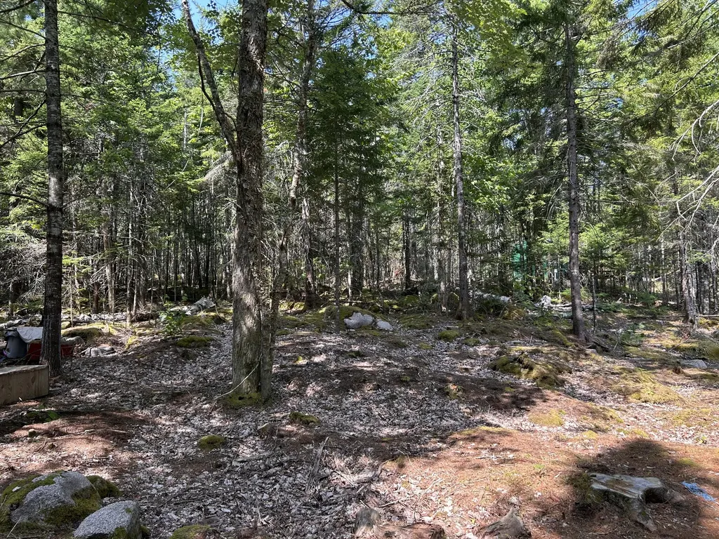 31 Sportsmen's Lodge Road Marshfield ME 04654