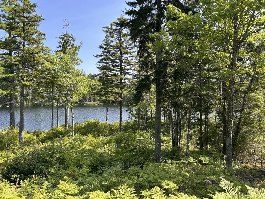 31 Sportsmen's Lodge Road Marshfield ME 04654
