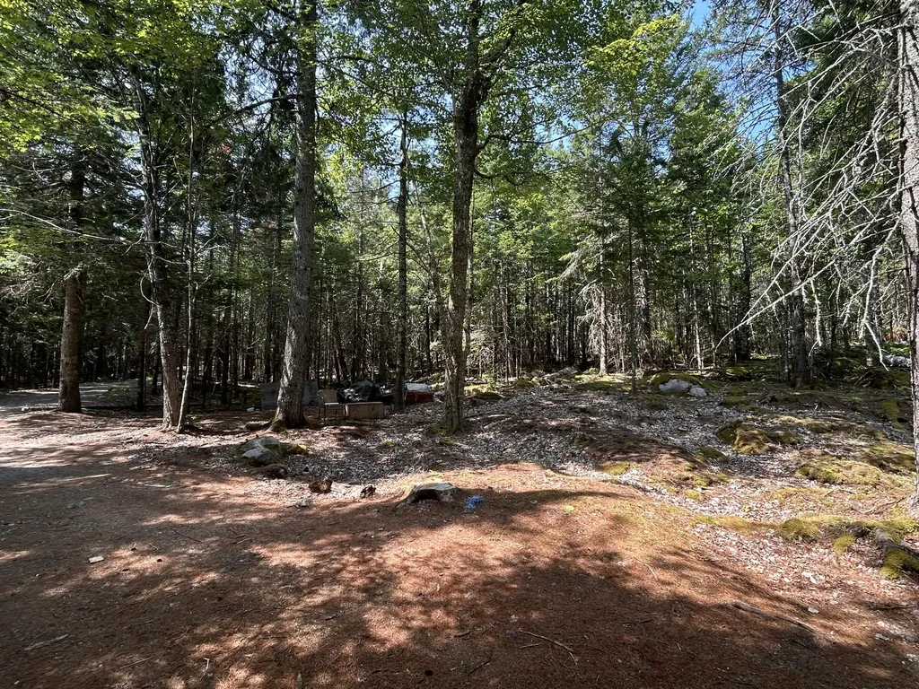 31 Sportsmen's Lodge Road Marshfield ME 04654