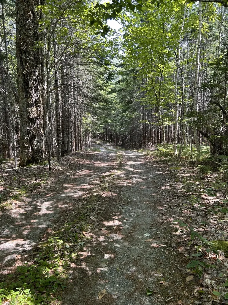 31 Sportsmen's Lodge Road Marshfield ME 04654