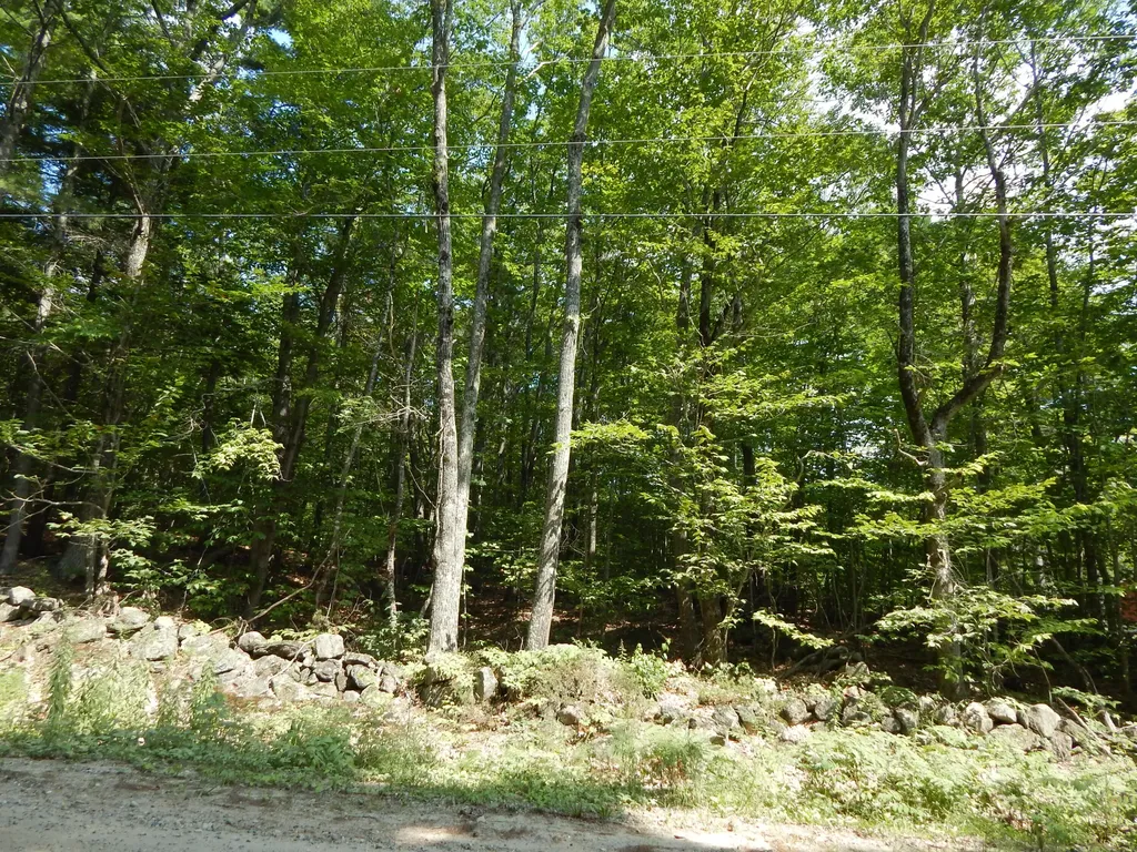 Lot 6 Maplecrest Road Parsonsfield ME 04047