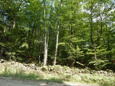 Lot 6 Maplecrest Road Parsonsfield ME 04047