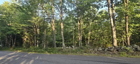 Lot 1 Whitney Road Bridgton ME 04009