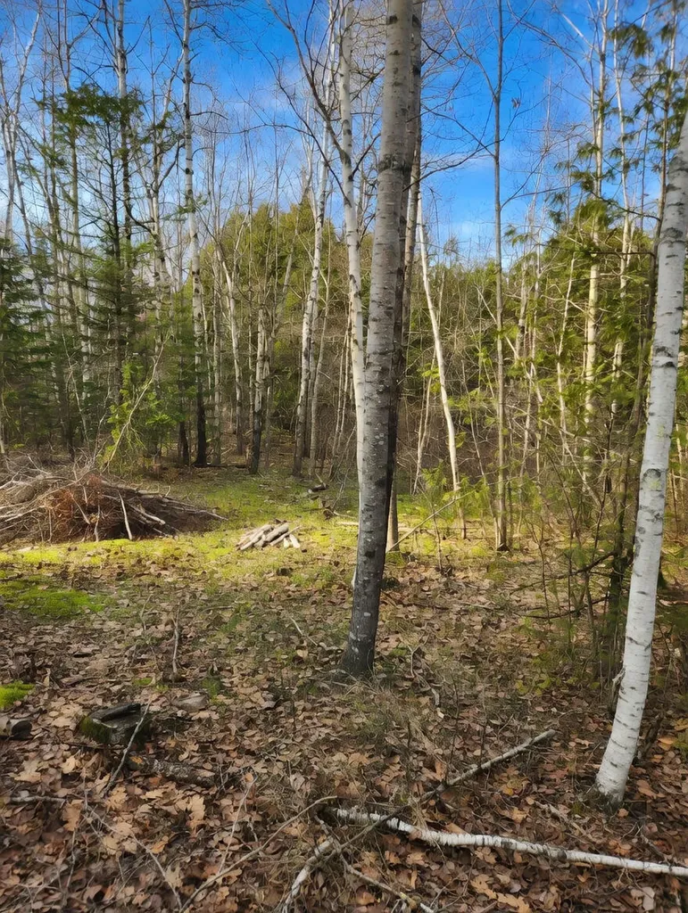 315 Golf Course Road Newport ME 04953