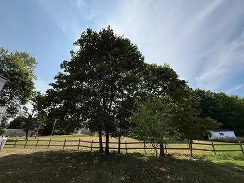 19 Gardner Avenue Machias ME 04654