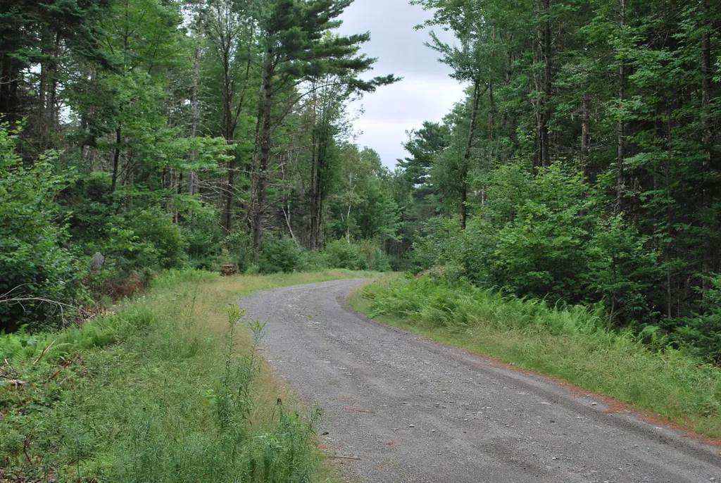 Lot 18 Moose Run Road Wellington ME 04942