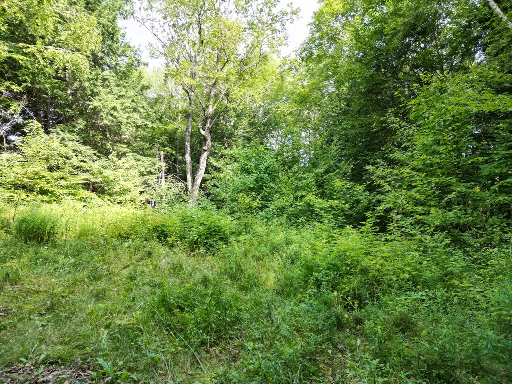 20 Stanhope Mill Road Lincoln ME 04457