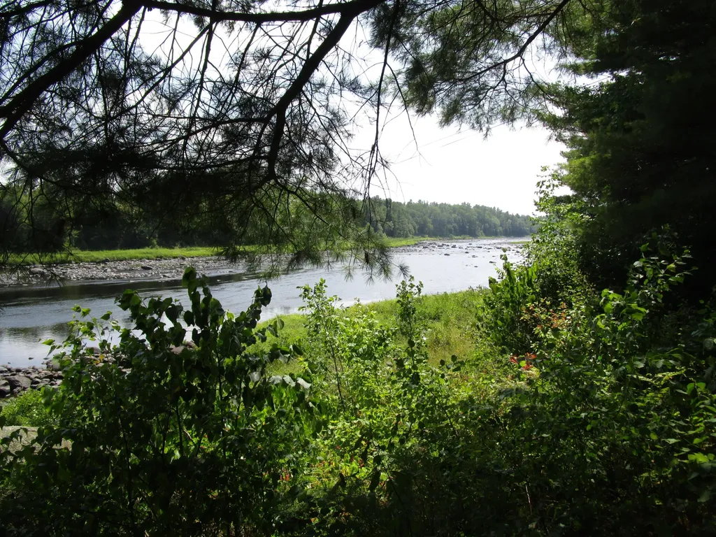5 Pine Street Lane Maxfield ME 04453