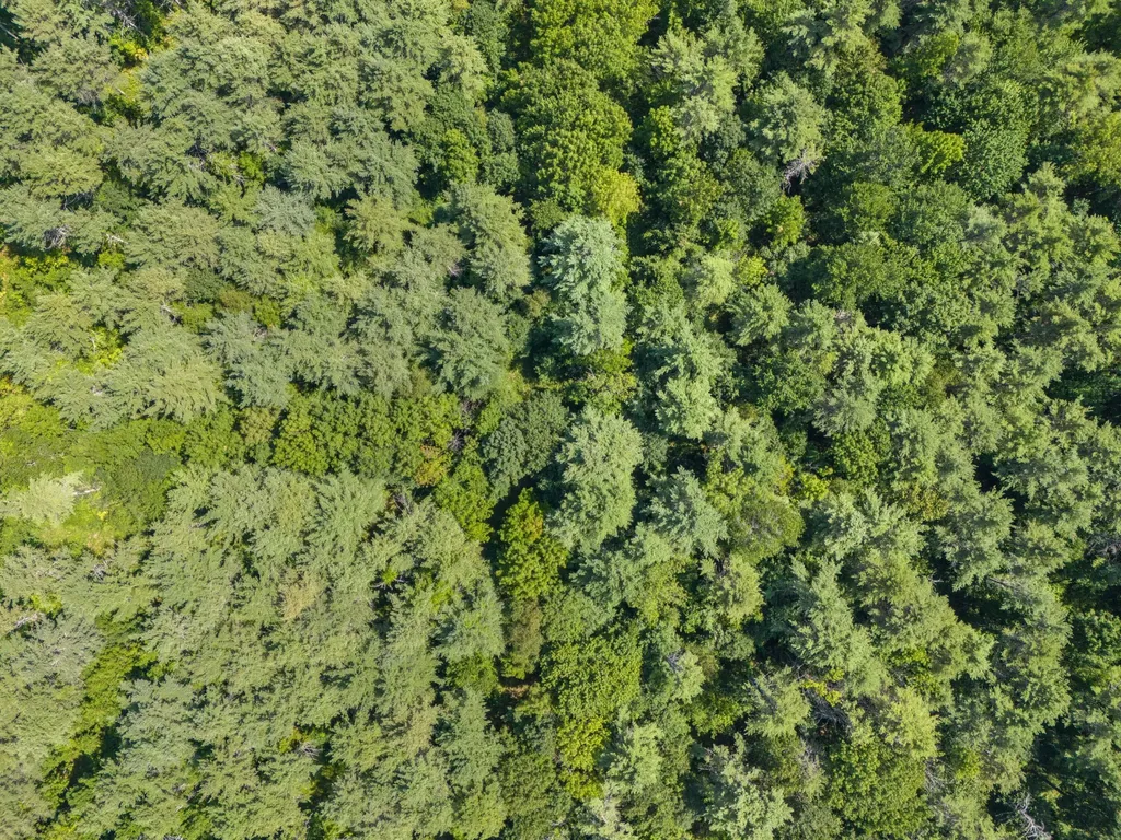 Lot 12 Hallowell Road Litchfield ME 04350