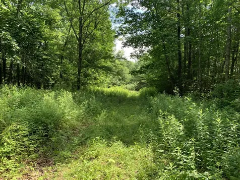 Lot 12 Hallowell Road Litchfield ME 04350