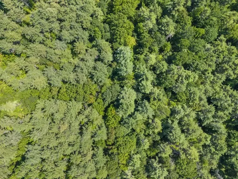 Lot 12 Hallowell Road Litchfield ME 04350