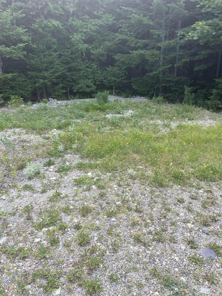 S0015 Pushard Lane Upper Enchanted Twp ME 04945