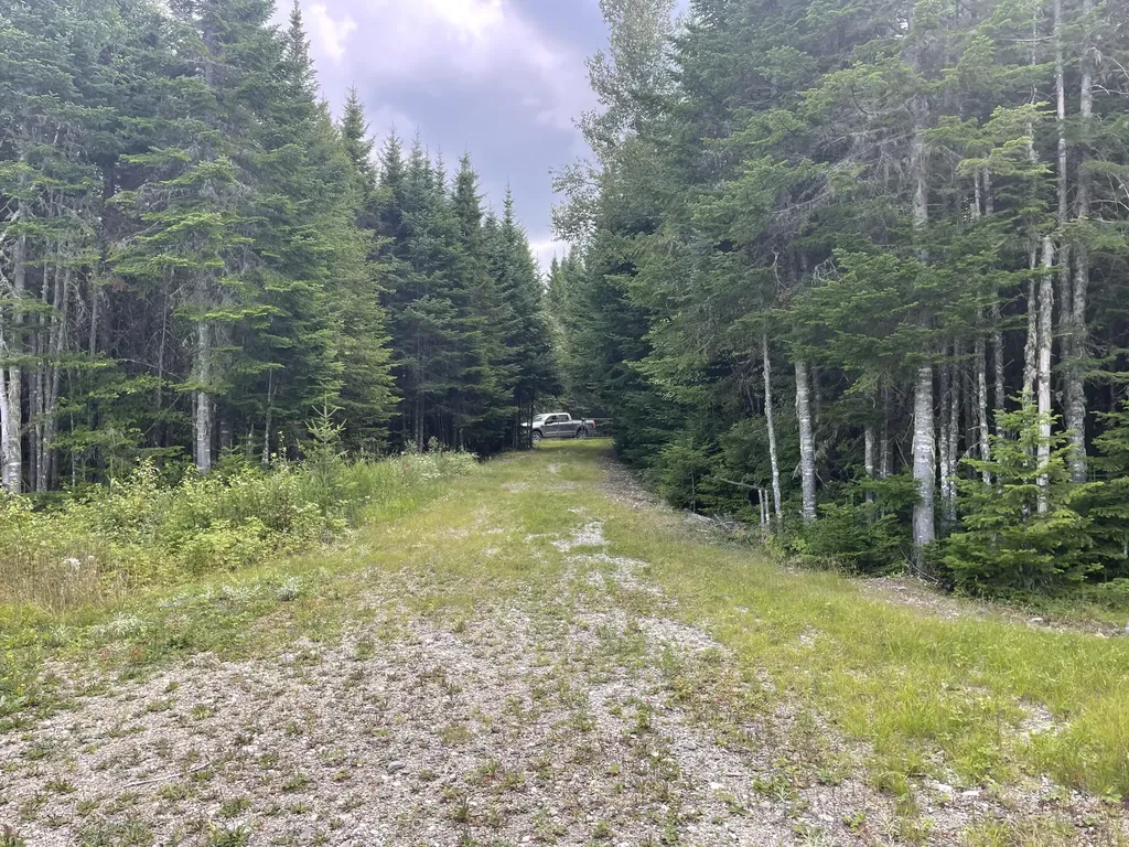 S0015 Pushard Lane Upper Enchanted Twp ME 04945