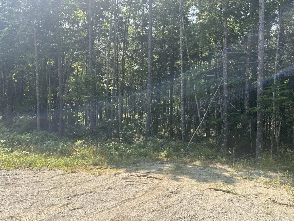 10 Bufford Drive Waltham ME 04605