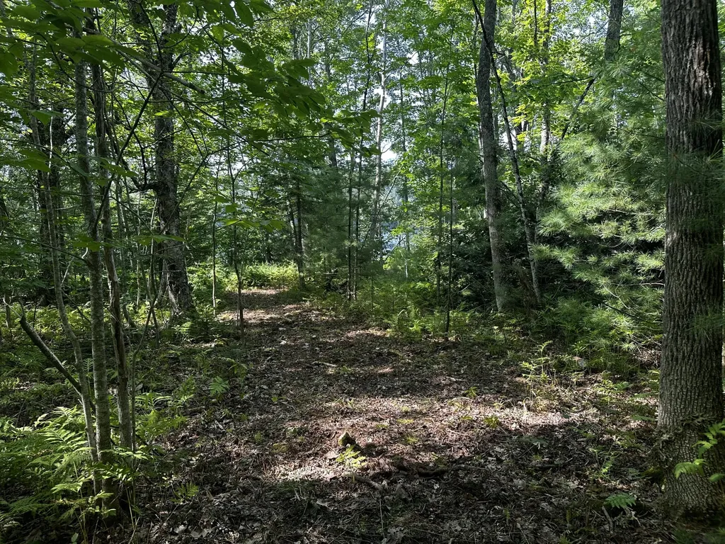 Lot 005 State Route 46 Route Bucksport ME 04416
