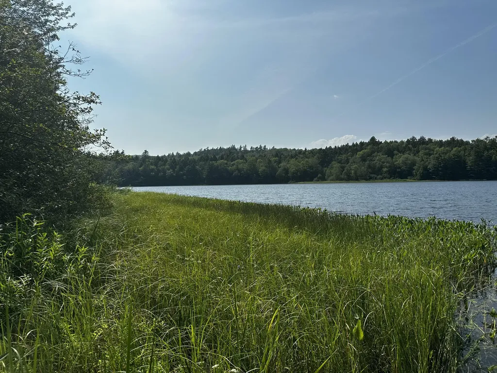 Lot 005 State Route 46 Route Bucksport ME 04416
