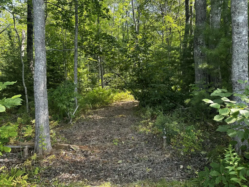 Lot 005 State Route 46 Route Bucksport ME 04416
