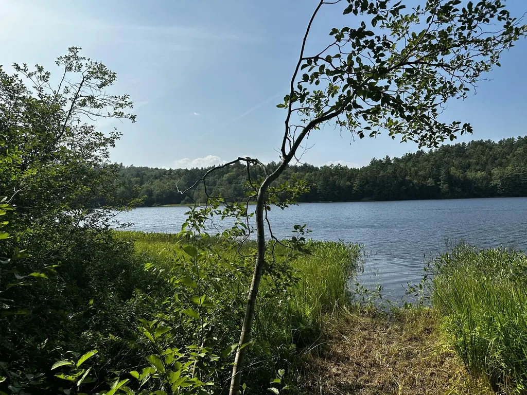 Lot 005 State Route 46 Route Bucksport ME 04416