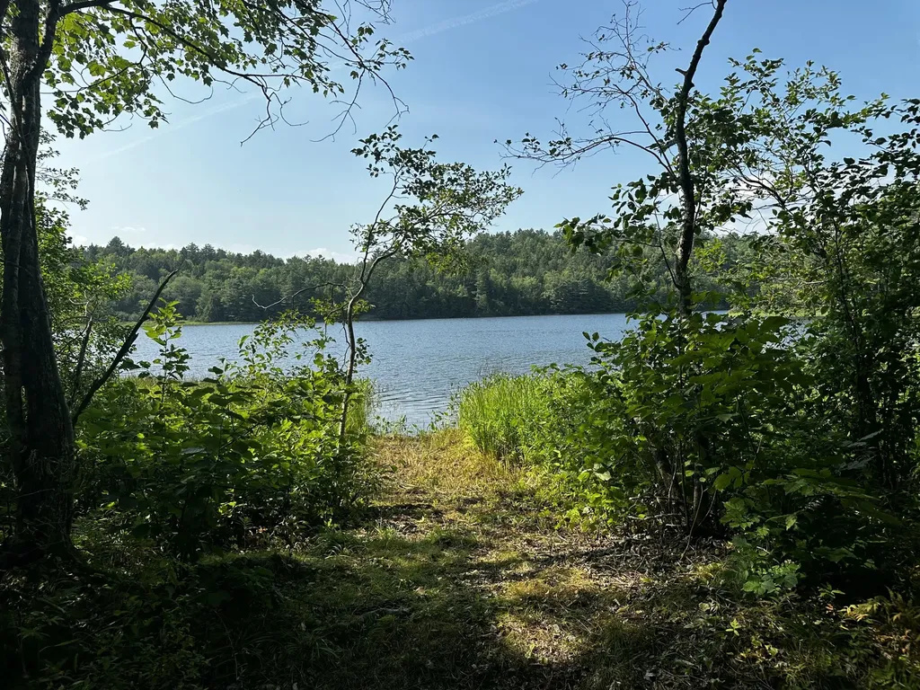 Lot 005 State Route 46 Route Bucksport ME 04416