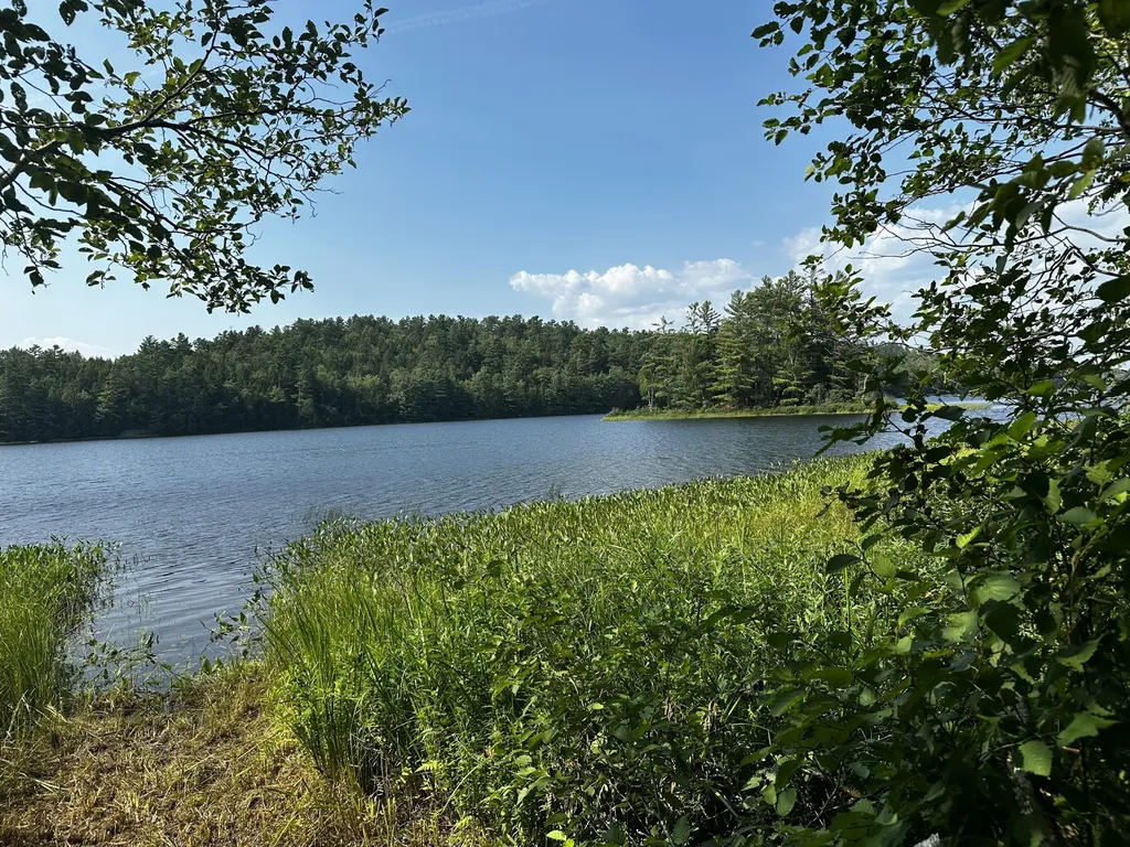 Lot 005 State Route 46 Route Bucksport ME 04416