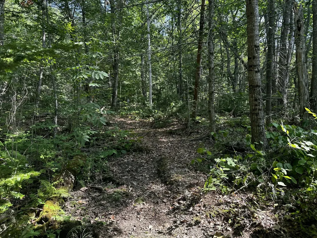 Lot 005 State Route 46 Route Bucksport ME 04416