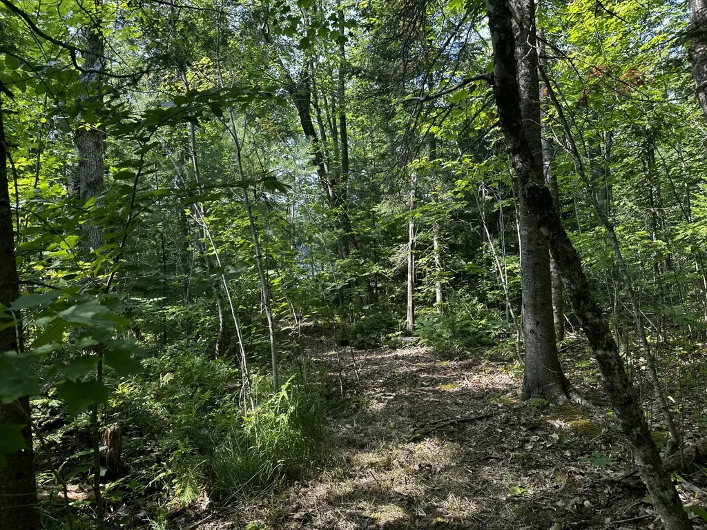 Lot 005 State Route 46 Route Bucksport ME 04416