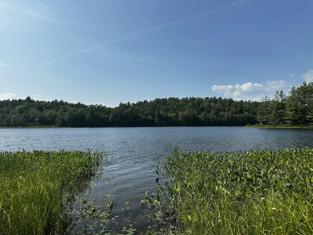 Lot 005 State Route 46 Route Bucksport ME 04416