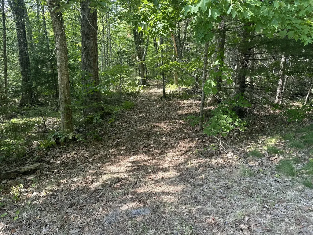 Lot 005 State Route 46 Route Bucksport ME 04416