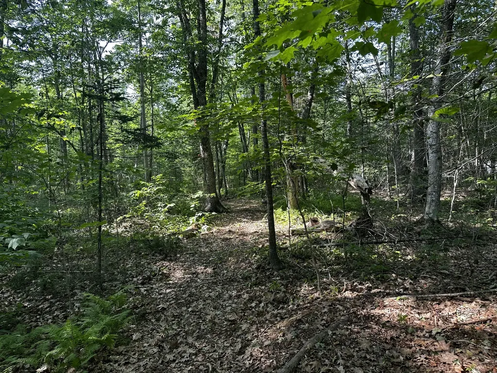 Lot 005 State Route 46 Route Bucksport ME 04416