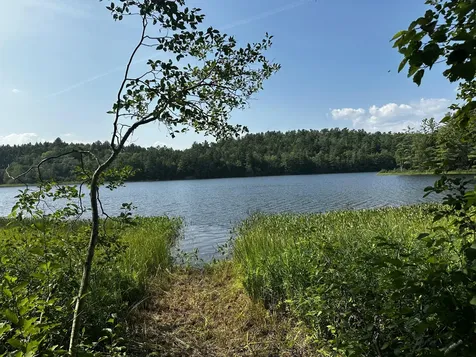 Lot 005 State Route 46 Route Bucksport ME 04416