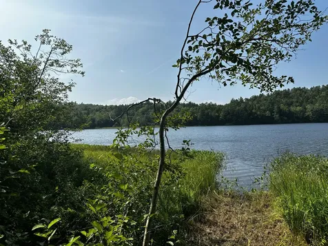 Lot 005 State Route 46 Route Bucksport ME 04416