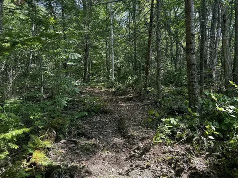Lot 005 State Route 46 Route Bucksport ME 04416