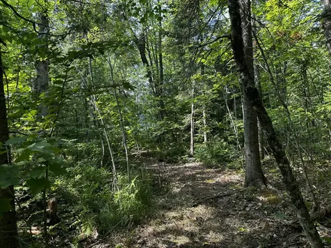 Lot 005 State Route 46 Route Bucksport ME 04416