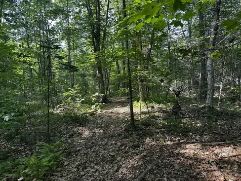 Lot 005 State Route 46 Route Bucksport ME 04416