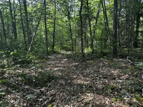 Lot 005 State Route 46 Route Bucksport ME 04416